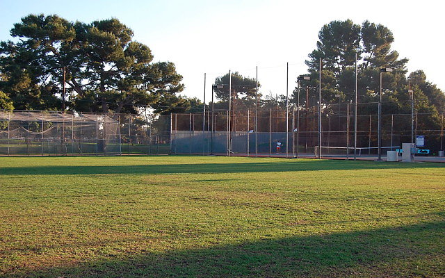 DSC 0258