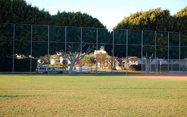 DSC 0245