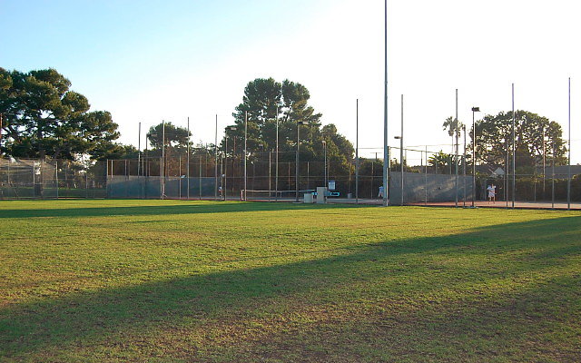 DSC 0255