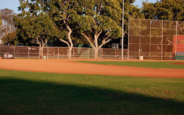 DSC 0252