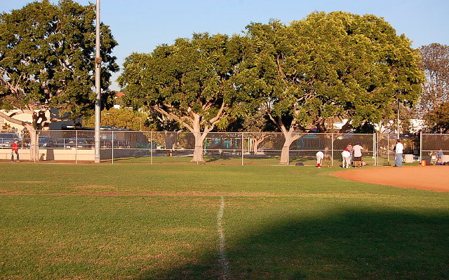 DSC 0251