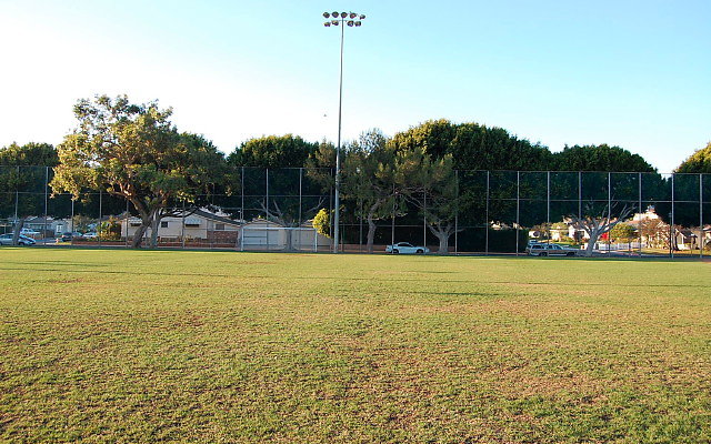 DSC 0241