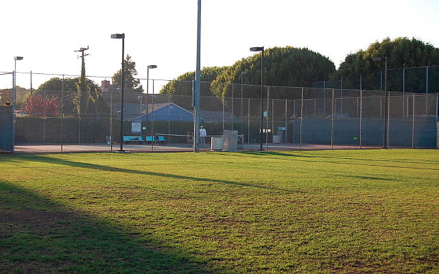 DSC 0239