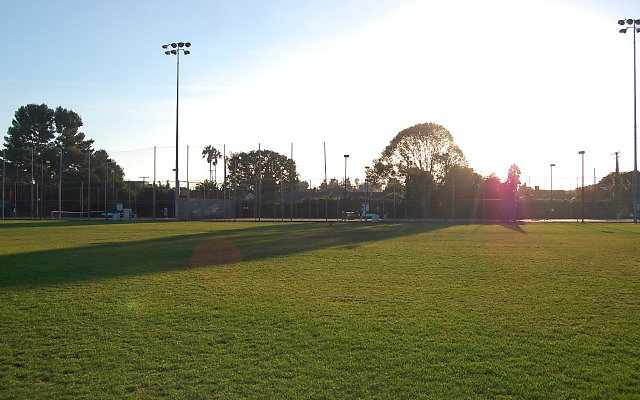 DSC 0235