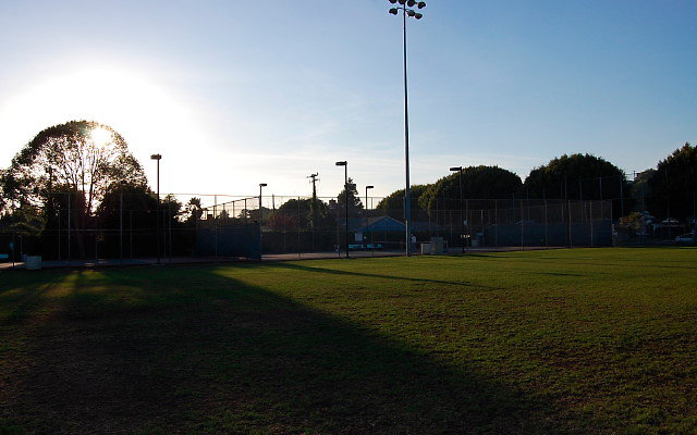 DSC 0240