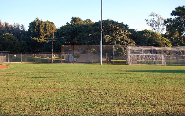 DSC 0257