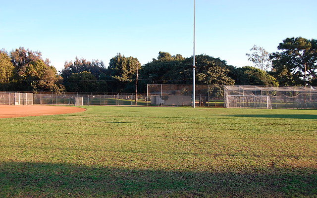 DSC 0254