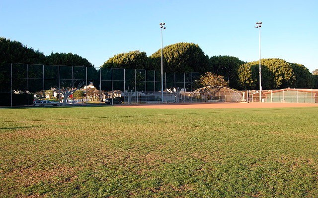 DSC 0247
