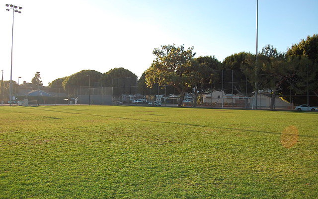 DSC 0236