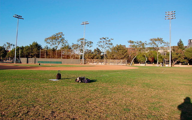 DSC 0211