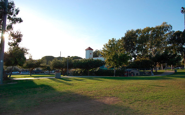 DSC 0230
