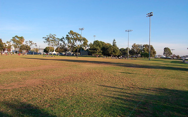 DSC 0205