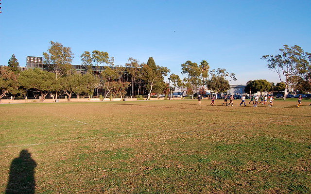 DSC 0215