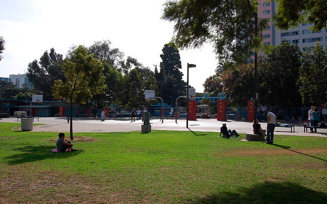 DSC 0176