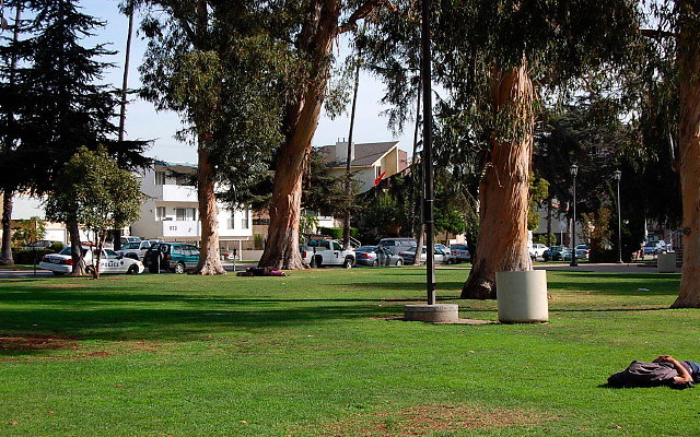 DSC 0177