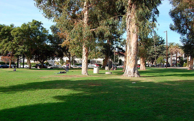 DSC 0166