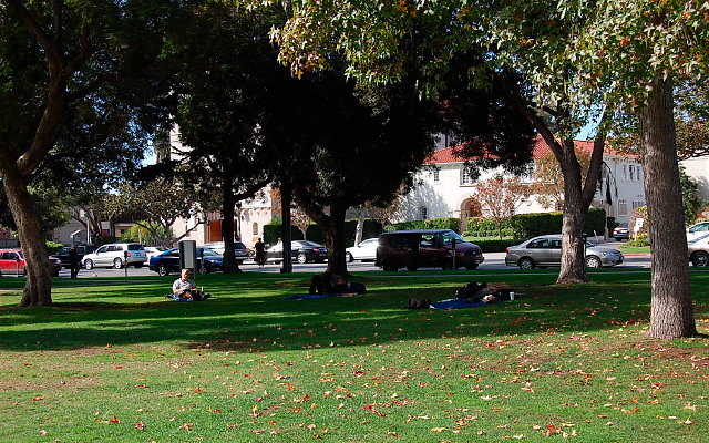 DSC 0171