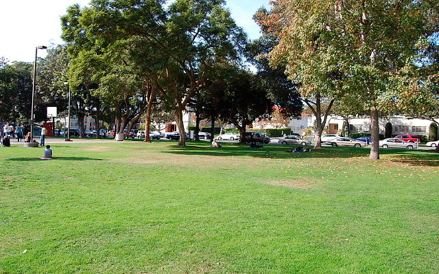 DSC 0164