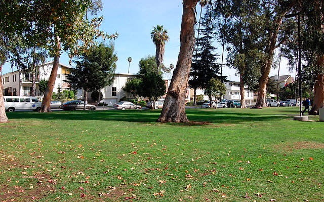 DSC 0174
