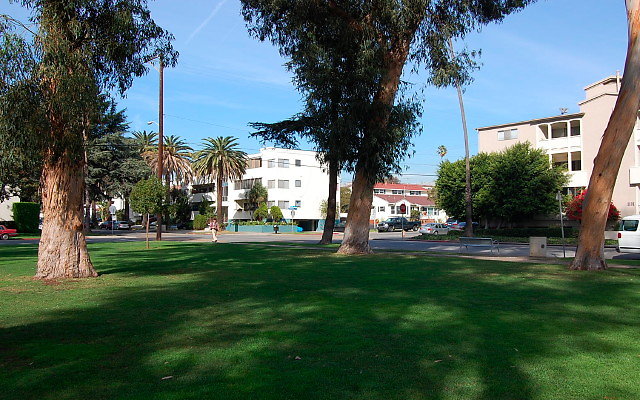 DSC 0159