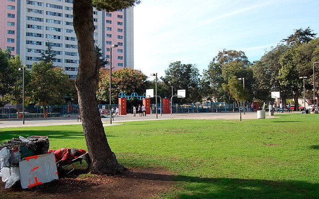 DSC 0165