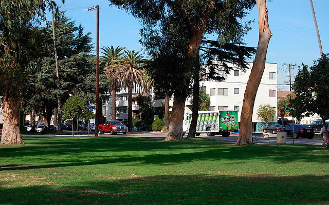 DSC 0170