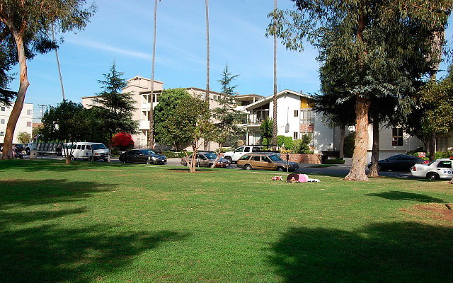 DSC 0167