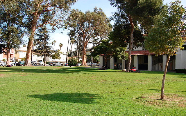 DSC 0154