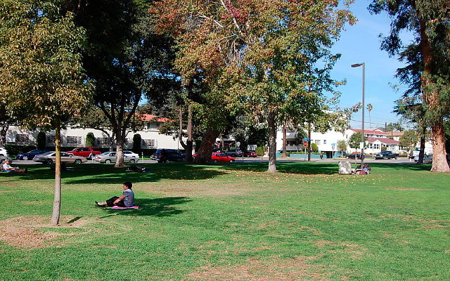 DSC 0152