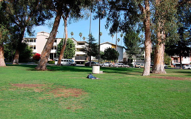 DSC 0153