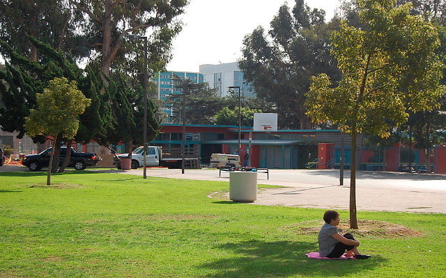 DSC 0179