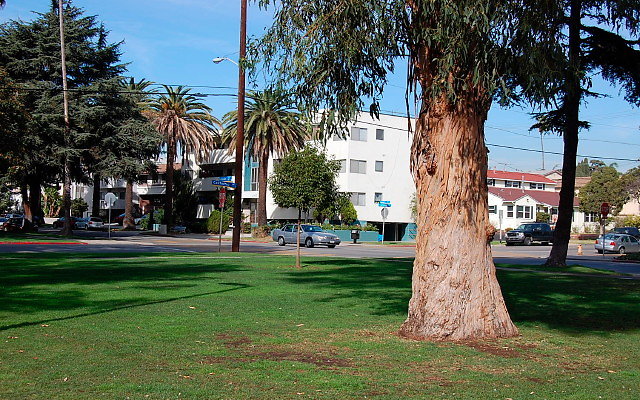 DSC 0173