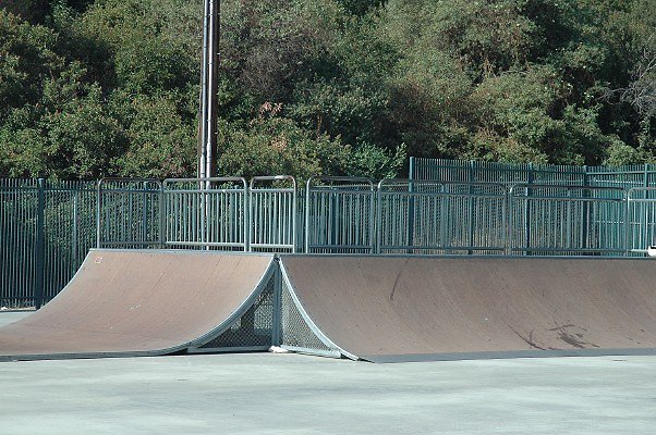 DSC 0408