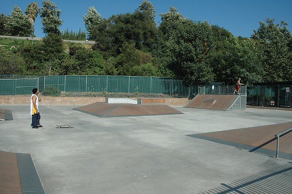 DSC 0419