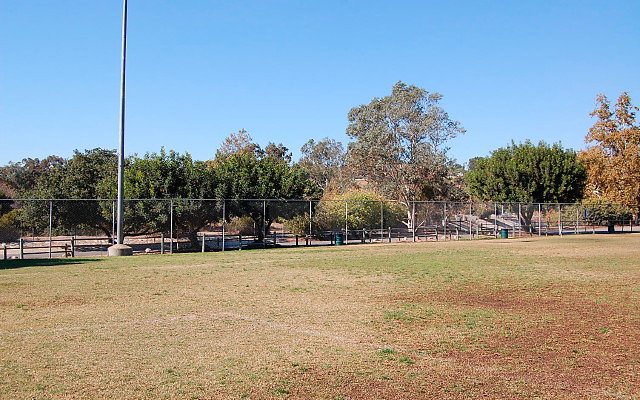DSC 0199