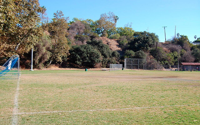 DSC 0224