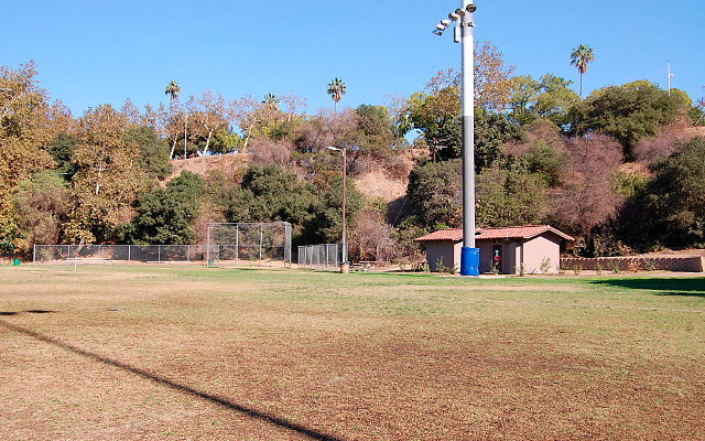 DSC 0201