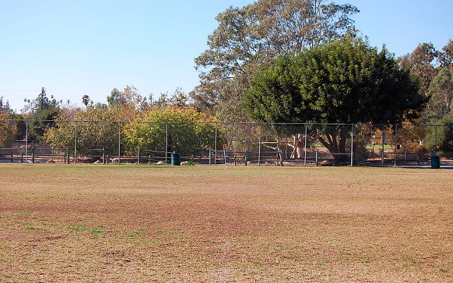 DSC 0197