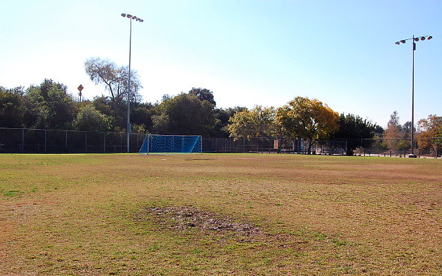 DSC 0193