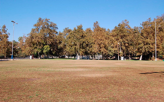 DSC 0200