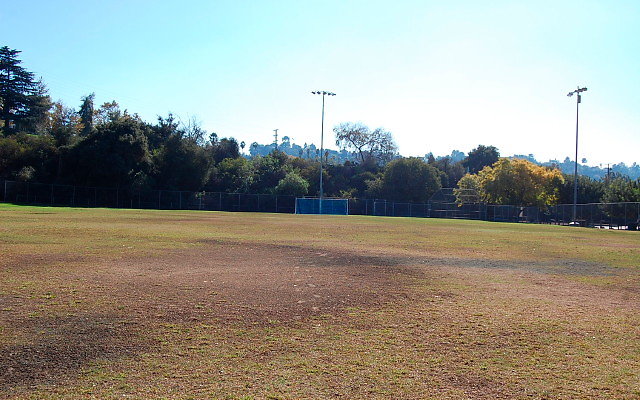 DSC 0218