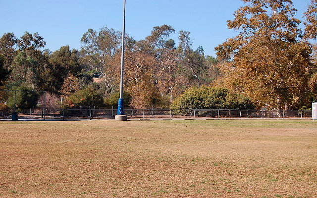 DSC 0198