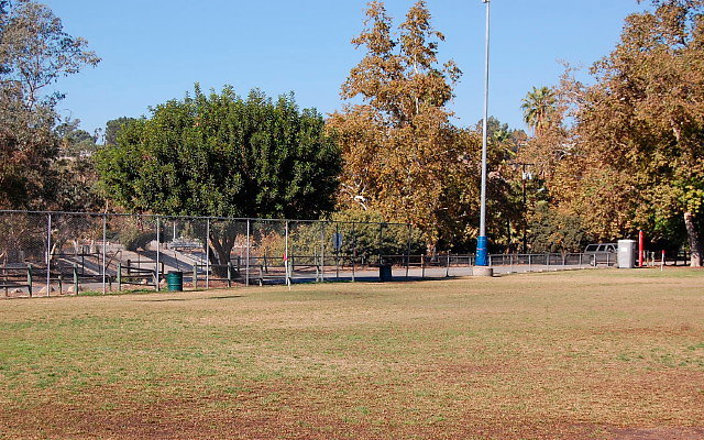 DSC 0202