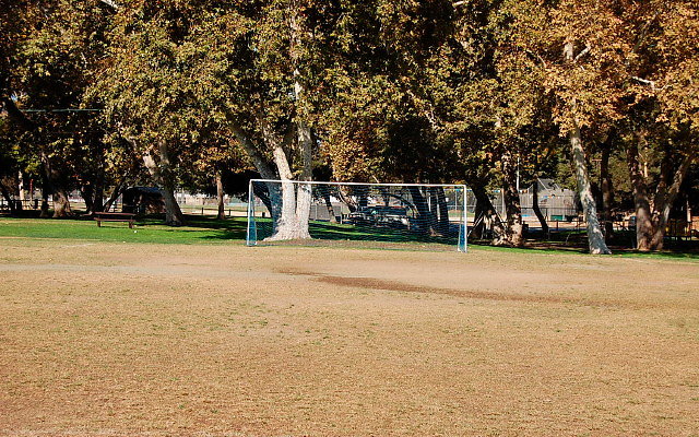 DSC 0212