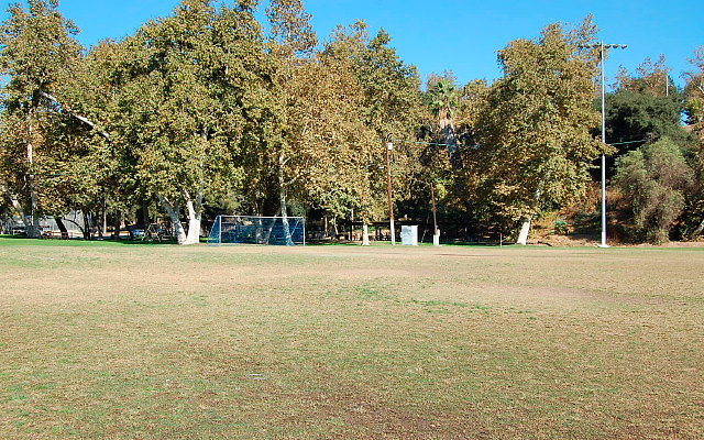DSC 0187