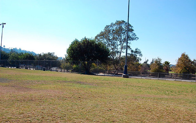 DSC 0219