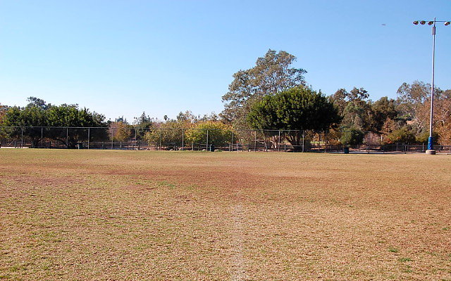 DSC 0194