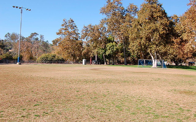 DSC 0195