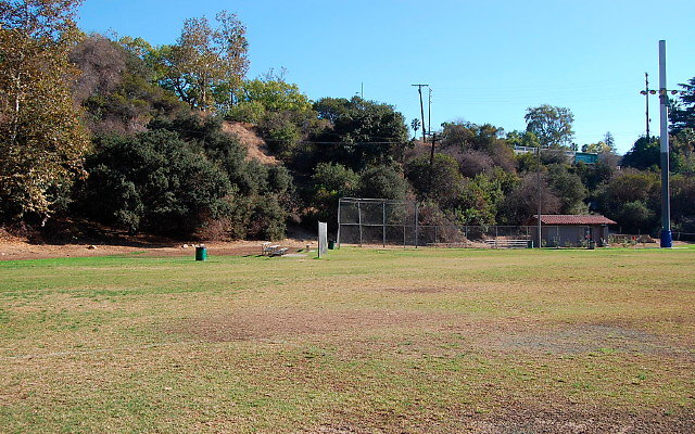 DSC 0217