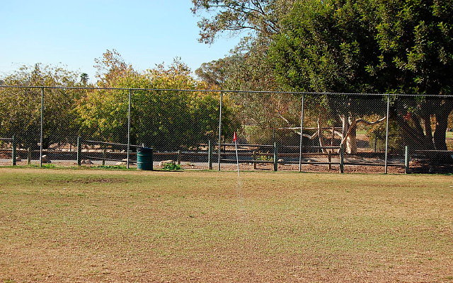 DSC 0209